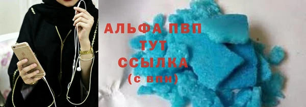 гидра Абаза