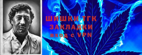 молекула духа Абинск