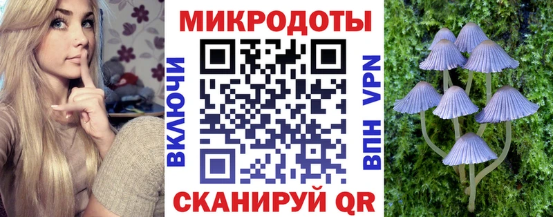 Псилоцибиновые грибы Psilocybine cubensis  Норильск 
